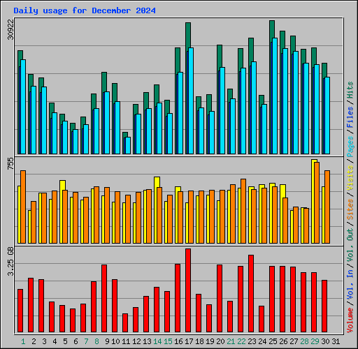 Daily usage for December 2024