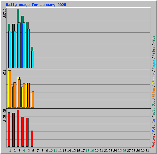 Daily usage for January 2025