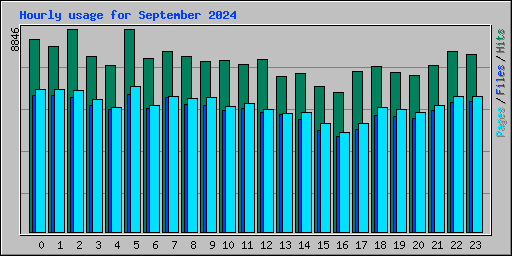 Hourly usage for September 2024