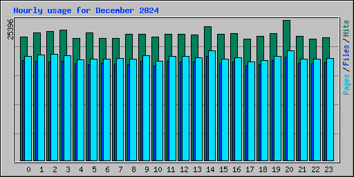 Hourly usage for December 2024