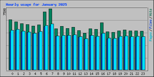 Hourly usage for January 2025