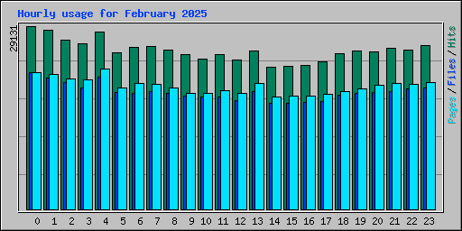 Hourly usage for February 2025