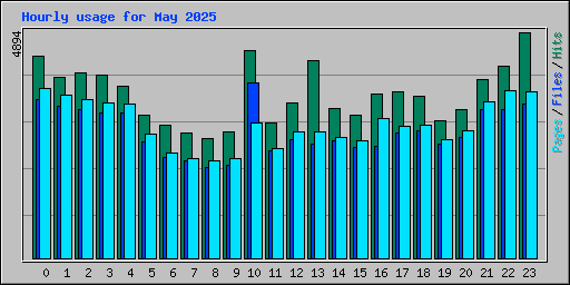 Hourly usage for May 2025