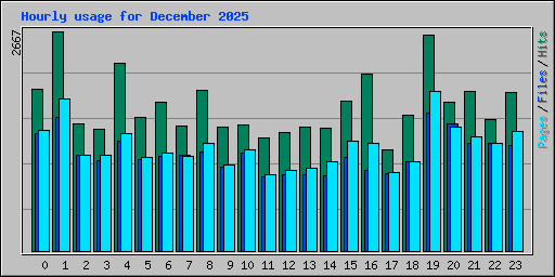 Hourly usage for December 2025