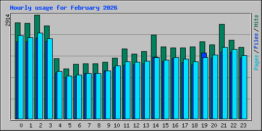 Hourly usage for February 2026