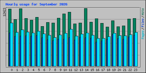 Hourly usage for September 2026