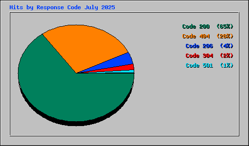 Hits by Response Code July 2025