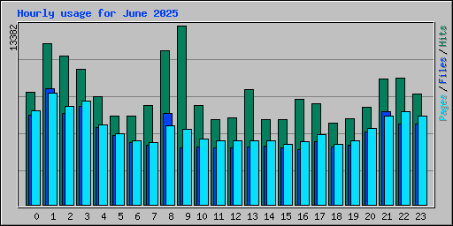 Hourly usage for June 2025