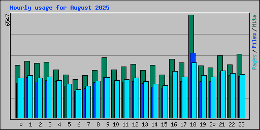 Hourly usage for August 2025