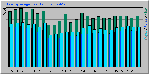 Hourly usage for October 2025